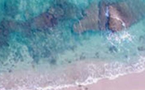 令人難忘的美景作文500字