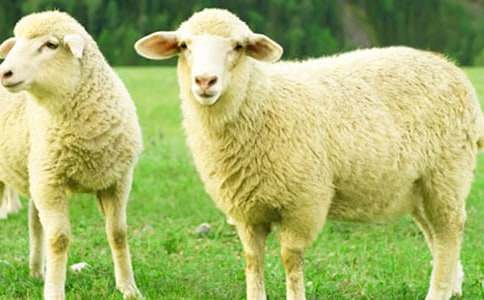 �w����յľd��ͯԒ���£����x10��(g��)��