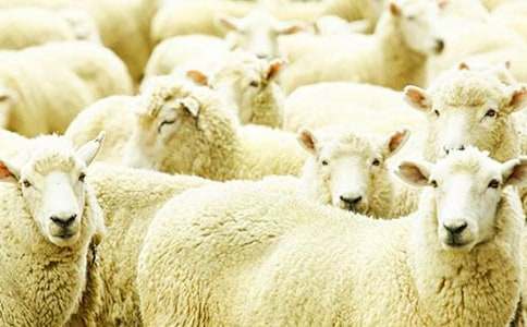 ��Ư����С�d����}��С�����g(sh��)�̰�