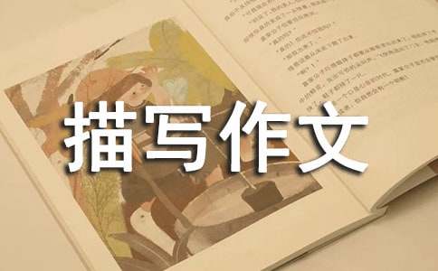 心理描寫作文技巧講解