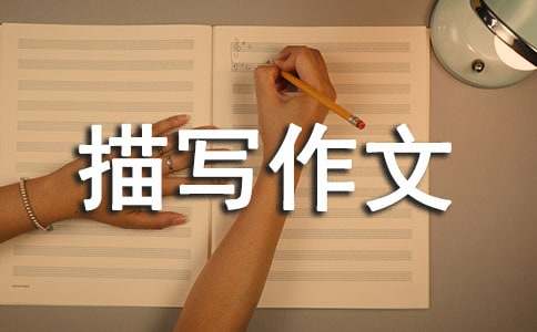 人物描寫作文400字(精選71篇)