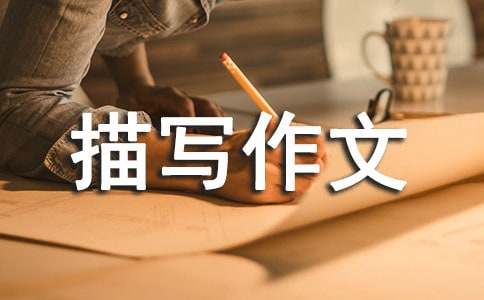 �����茑����3ƪ