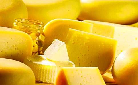 狐貍分奶酪續(xù)寫(xiě)作文(精選40篇)