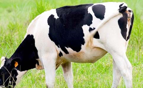 ��������ţ�m(x��)��