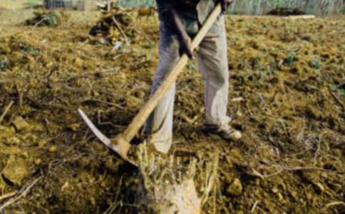 ���r(n��ng)������x��