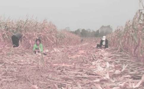 ��һ�θ��r(n��ng)�������