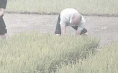 ���r(n��ng)������300�֣����x18ƪ��