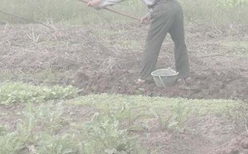 �W(xu��)�r(n��ng)���(d��ng)���ģ�ͨ��30ƪ��