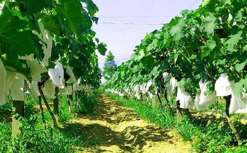 �y�����r(n��ng)�Ҙ�����