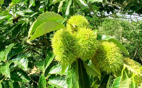 �r(n��ng)�Ҙ��߄���