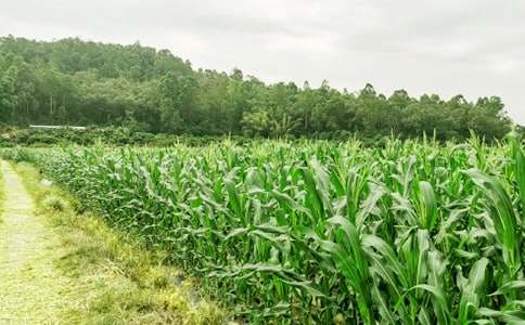 �r(n��ng)�Ҙ�600������