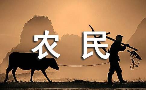農(nóng)民奶奶作文600字