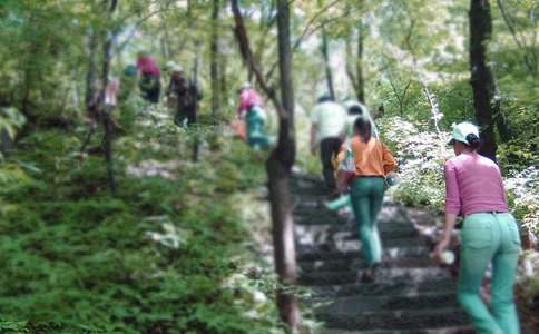 ����ɽ�����_���̌W(xu��)�O(sh��)Ӌ(j��)