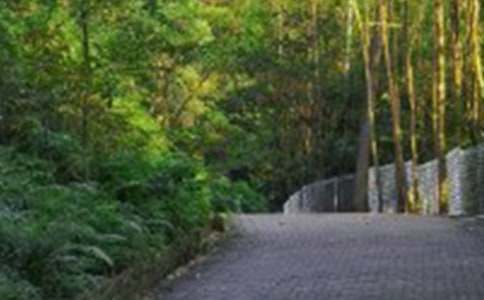 爬山的樂趣作文600字大全