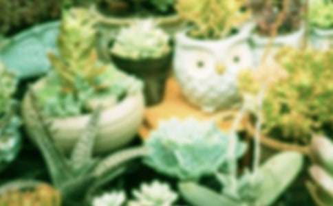 ��������400��9ƪ