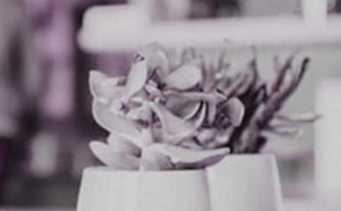 ��������400����ƪ