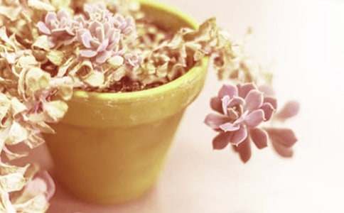 ��������300�ֺϼ�10ƪ