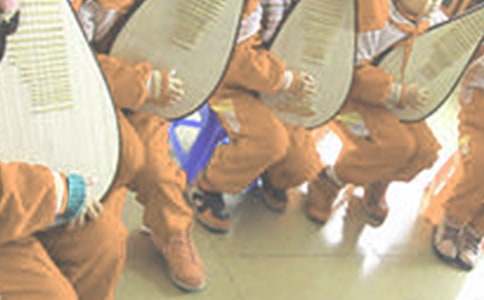 美麗的琵琶灣小學作文