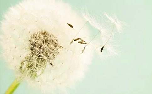 �茑�^���ѹ�Ӣ������