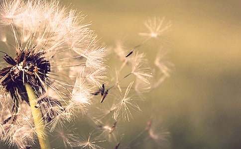 �ѹ�Ӣ�^������