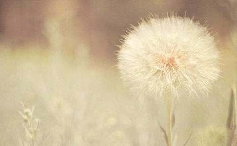 С��̰����ѹ�Ӣ��С�۷䡷