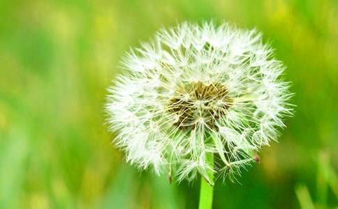 �^���ѹ�Ӣ����(6ƪ)