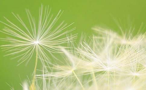 �ѹ�Ӣ����ӛ���¹��_(k��i)�n�̰�