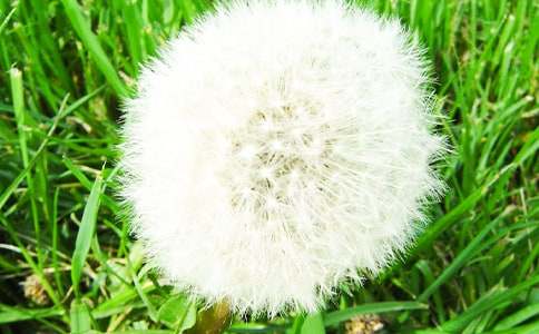 �ѹ�Ӣ�Ľ̌W�OӋ���p