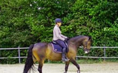 �ְ֎���ȥ�T�R����