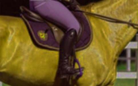 關(guān)于第一次騎馬的作文600字