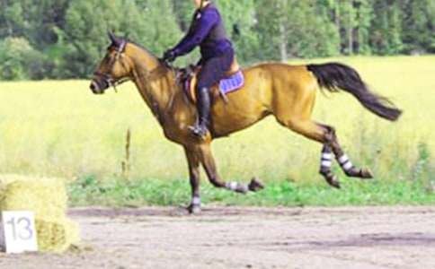 ��ԭ�T�RӛС�W����