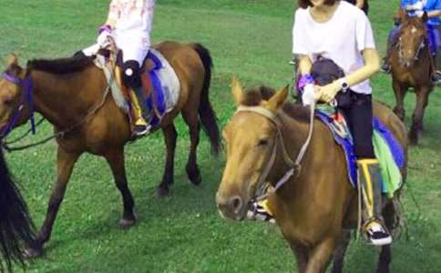 ���õ��T�R����24ƪ