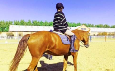 �����x���T�R���ĺϼ�5ƪ