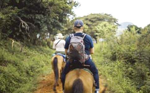 ���P(gu��n)�T�R����300�֣�ͨ��23ƪ��