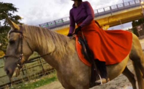 ��ԭ�T�R������