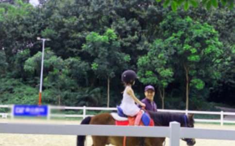 寫騎馬的作文(精選31篇)