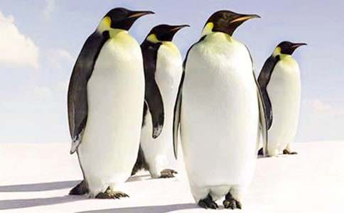 ���Z����400�֣����x33ƪ��