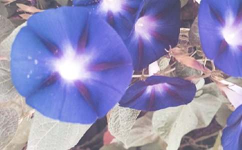 �^�젿����