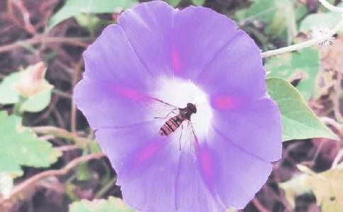 �茑(xi��)�����������ģ�ͨ��104ƪ��