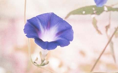 �^�젿����������4ƪ