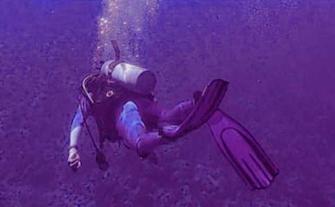 難忘的潛水400字作文