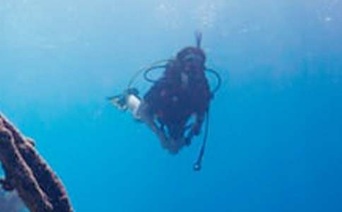 難忘的潛水作文3篇