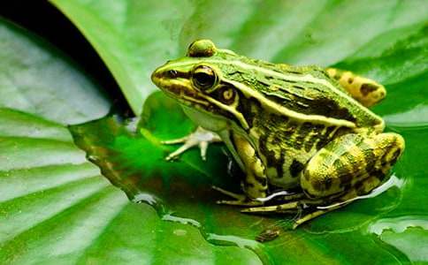 �W(xu��)ǰ�����g(sh��)�̰����W(xu��)�����ܡ�