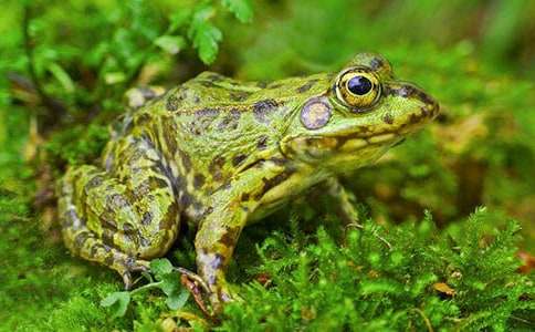 ���܋������������(9ƪ)