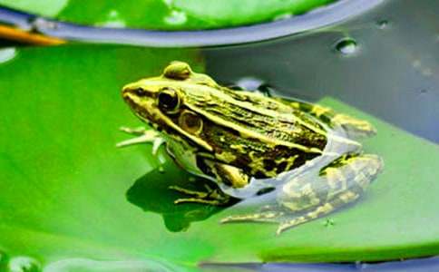 ��С���ܡ��̌W(xu��)�O(sh��)Ӌ(j��)�����x15ƪ��