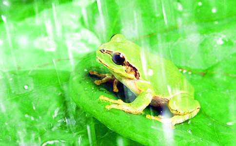 �����ܳԺ��x���̰�