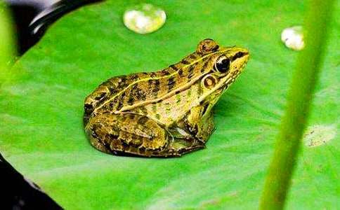 �����]����������300��3ƪ