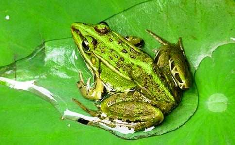 �^����������500��