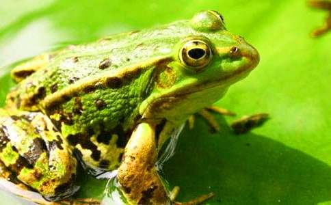 �����܌�Ԋ���̌W�O(sh��)Ӌ��ͨ��11ƪ��