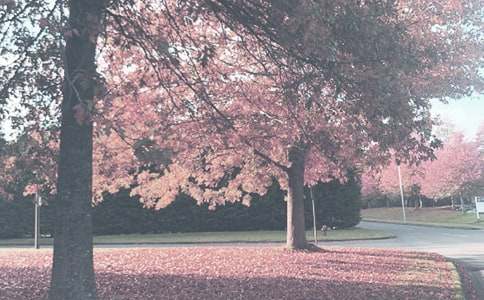 ���P�＾��С�W�̌WӋ��